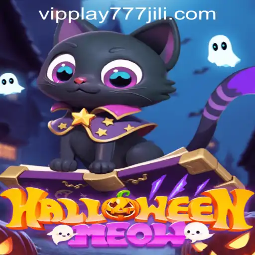 HalloweenMeow: Unraveling the Enchantment of the Spooky Feline Adventure